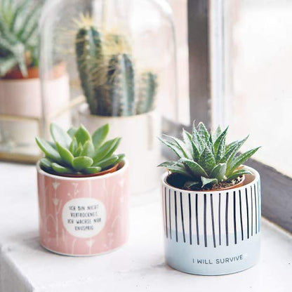 Graphic Workshop small flower pot | mini decorative pot with paper plant | ceramic