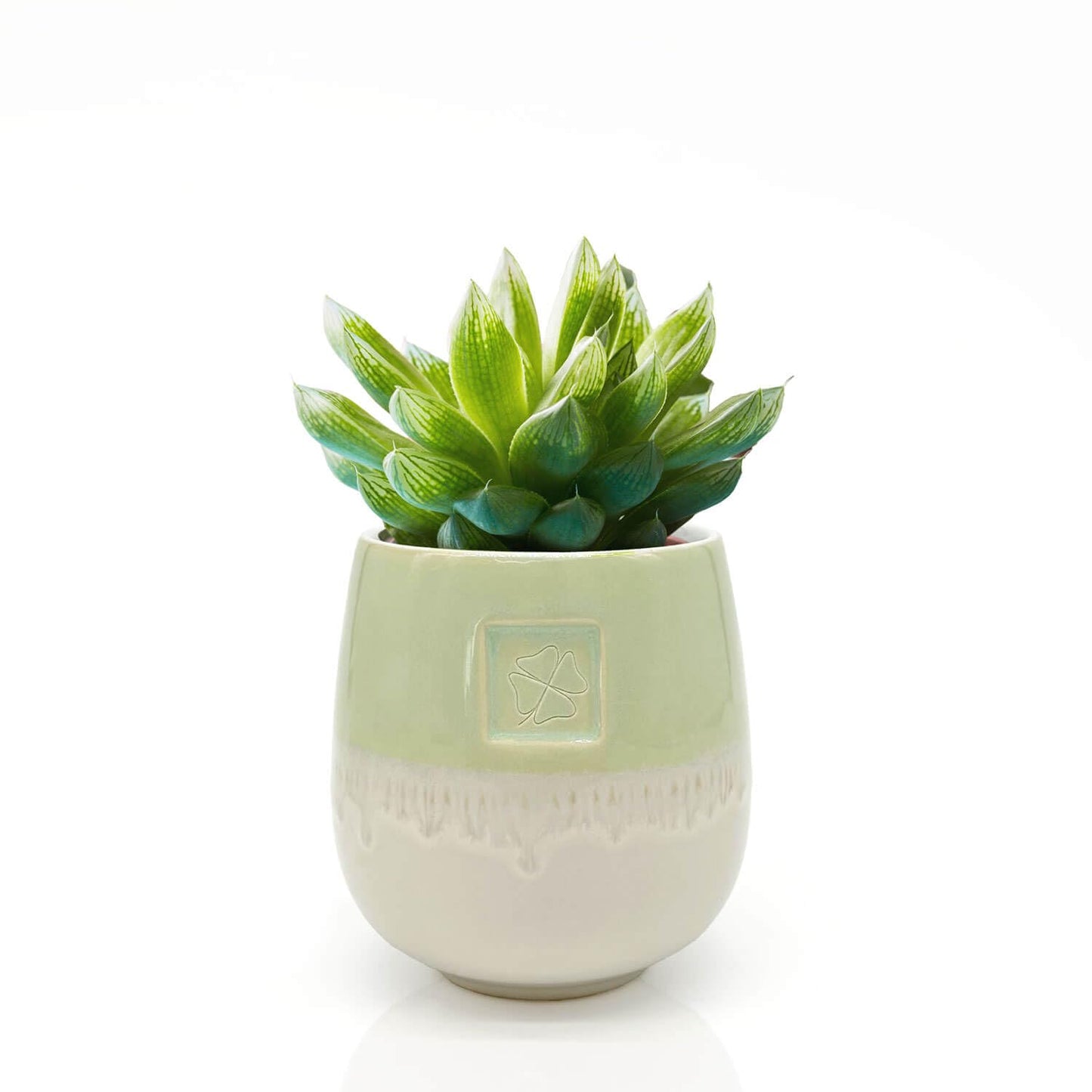 Mea-Living STONEWARE Mug | "CLOVER" | green | 400 ml | hand-decorated drinking mug or flower pot