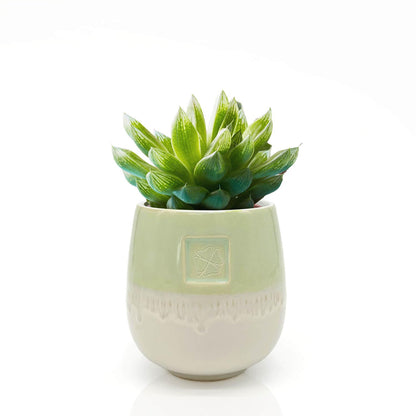 Mea-Living STONEWARE Mug | "CLOVER" | green | 400 ml | hand-decorated drinking mug or flower pot
